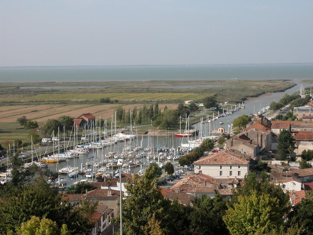 Chambres D'Hotes La Rive Mortagne-sur-Gironde Exterior photo